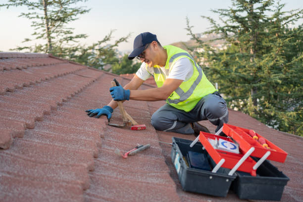 Best 4 Ply Roofing  in Hahnville, LA